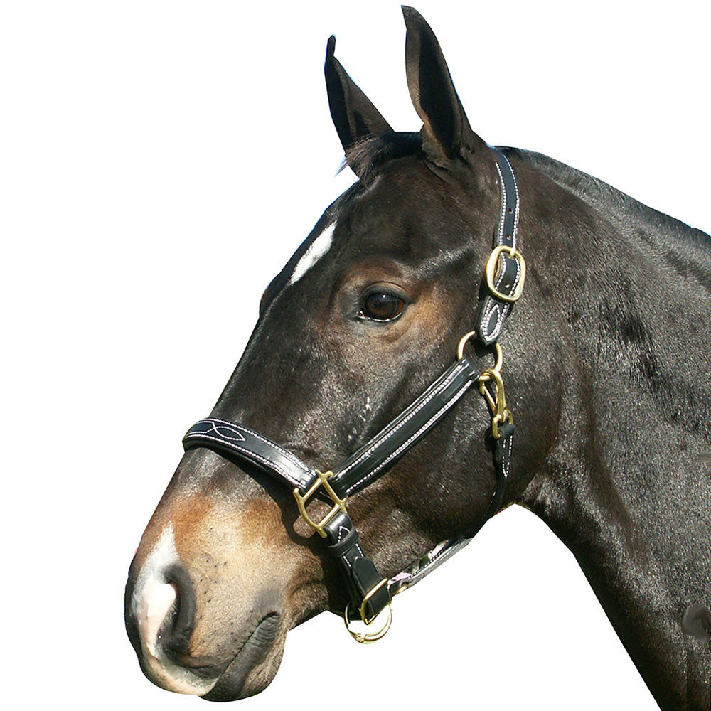 Fancy Stitched Leather Halter