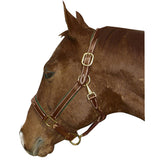 Fancy Stitched Leather Halter