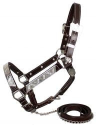 Horse size silver bar show halter with matching lead.