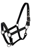 Cobb size nylon halter with neoprene lined nose and crown. Accented with glitter overlay on cheeks, nose and crown. Halter has eyelets on crown and adjustable nose and throat latch.