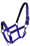 Pony size nylon halter with neoprene lined nose and crown. Accented with glitter overlay on cheeks, nose and crown. Halter has eyelets on crown and adjustable nose and throat latch.