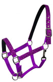 Pony size nylon halter with neoprene lined nose and crown. Accented with glitter overlay on cheeks, nose and crown. Halter has eyelets on crown and adjustable nose and throat latch.