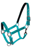 Cobb size nylon halter with neoprene lined nose and crown. Accented with glitter overlay on cheeks, nose and crown. Halter has eyelets on crown and adjustable nose and throat latch.
