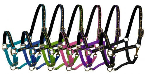 Average horse size nylon halter with neoprene lined nose and crown. Accented with "I Love My Horse" overlay on cheeks and crown. Halter has eyelets on crown and adjustable nose and throat latch.
