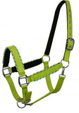 Showman™ neoprene lined halter with rope border design.