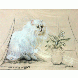 Corinium Fine Art Cat Prints - White Cat