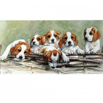 Sally Mitchell Fine Art Dog Prints | Over the Top