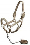 Showman horse size engraved silver show halter with Pink Rhinestones