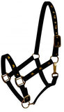 Horse size neoprene lined horse size nylon halter with "pleasure horse" overlay.