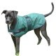 High Spirit Dog Rain Coat
