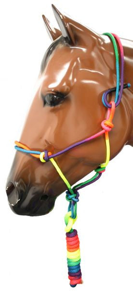 Rainbow colored cowboy knot halter with lead.
