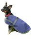 High Spirit Dog Rain Coat