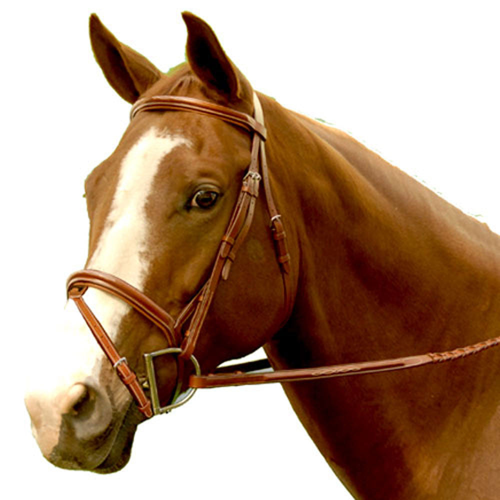 Exselle Elite Fancy Raised Padded Bridle -Pony