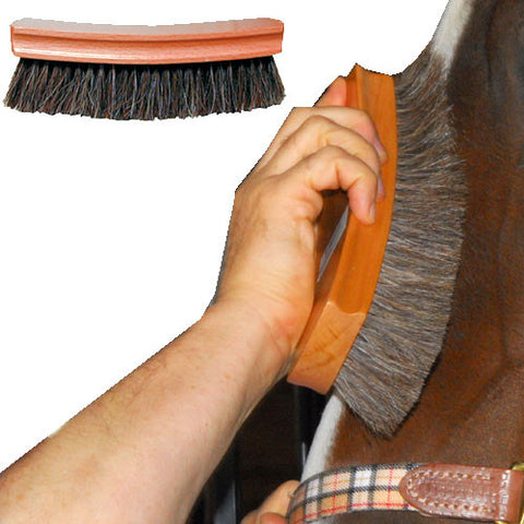 Body Brush Horse Hair