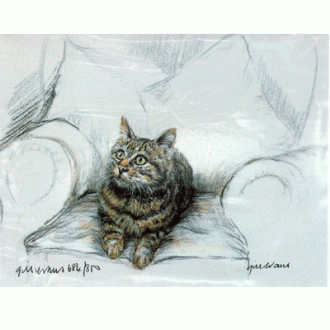 Corinium Fine Art Cat Prints - Tabby Cat