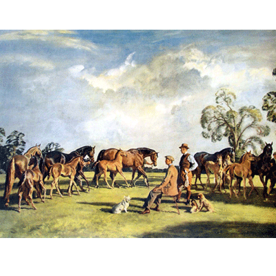 Alfred Munnings Horse Prints - Summer Evening at Cliveden