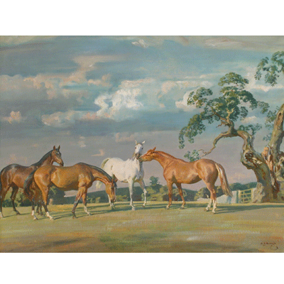 Alfred Munnings Horse Prints - Rose, Wildbird, Peggy and Stockin