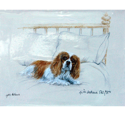 Corinium Fine Art Dog Prints - Cavalier King Charles