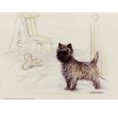 Corinium Fine Art Dog Prints - Cairn Terrier