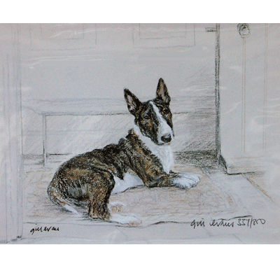 Corinium Fine Art Dog Prints - Bull Terrier