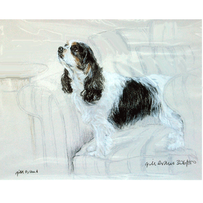 Corinium Fine Art Dog Prints - Cavalier King Charles Spaniel