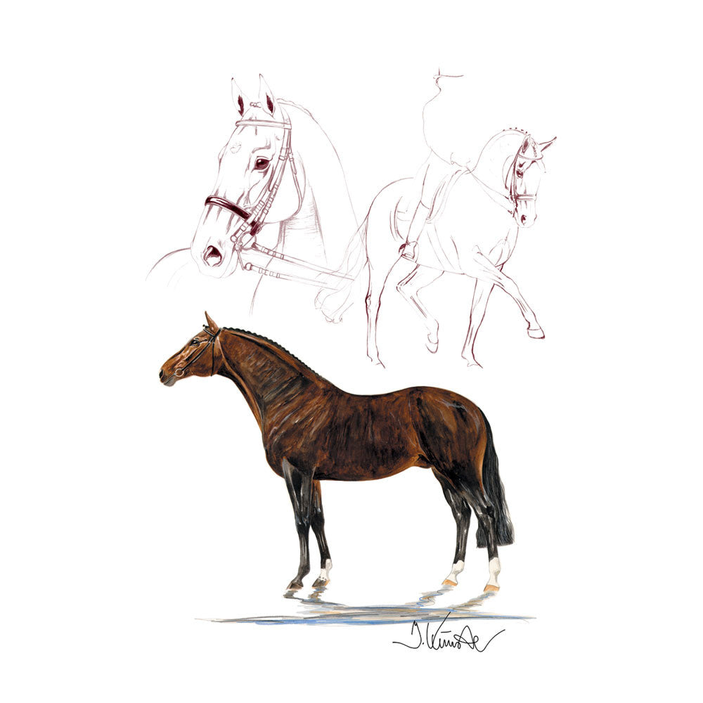Jan Kunster Horse Prints - Rosenkavalier (Dressage)