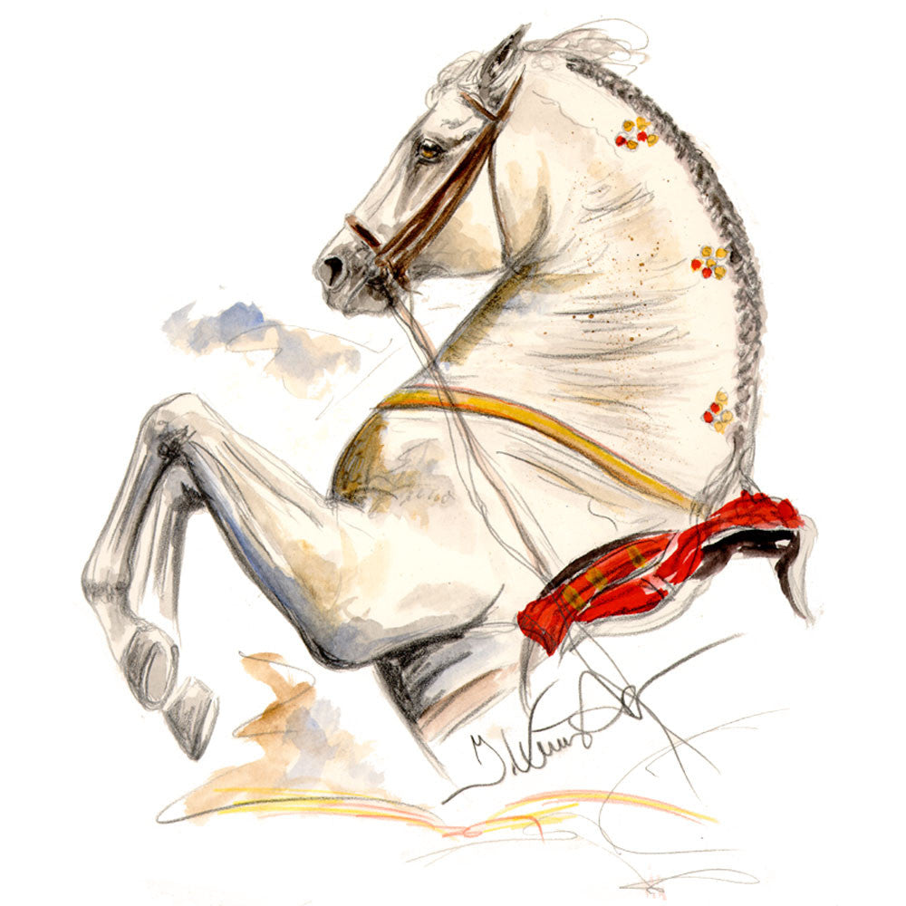 Jan Kunster Horse Prints - Ayamonte (Lipizzan)