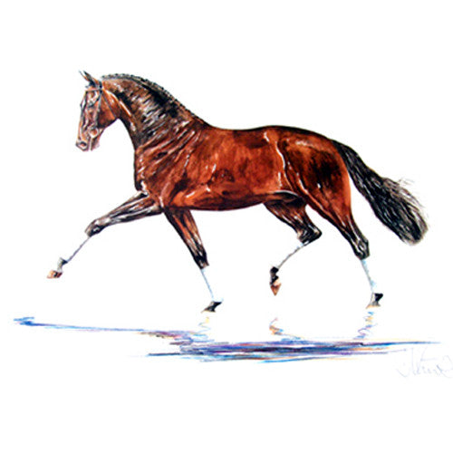 Jan Kunster Horse Prints - Hengst (Dressage)
