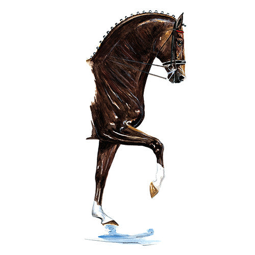 Jan Kunster Horse Prints - Donnerhall (Dressage)