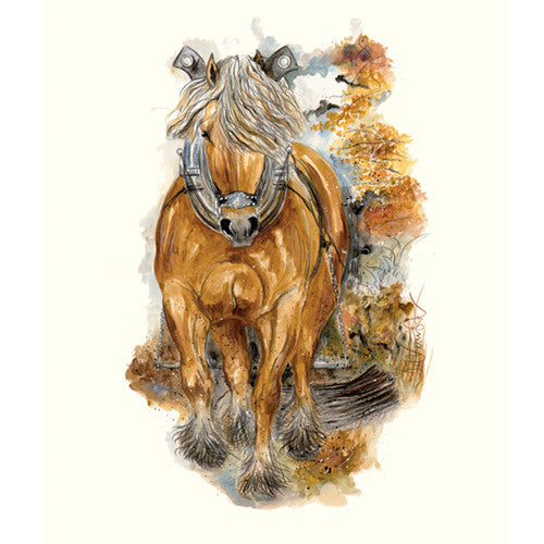 Jan Kunster Horse Prints - Balduin (Haflinger)
