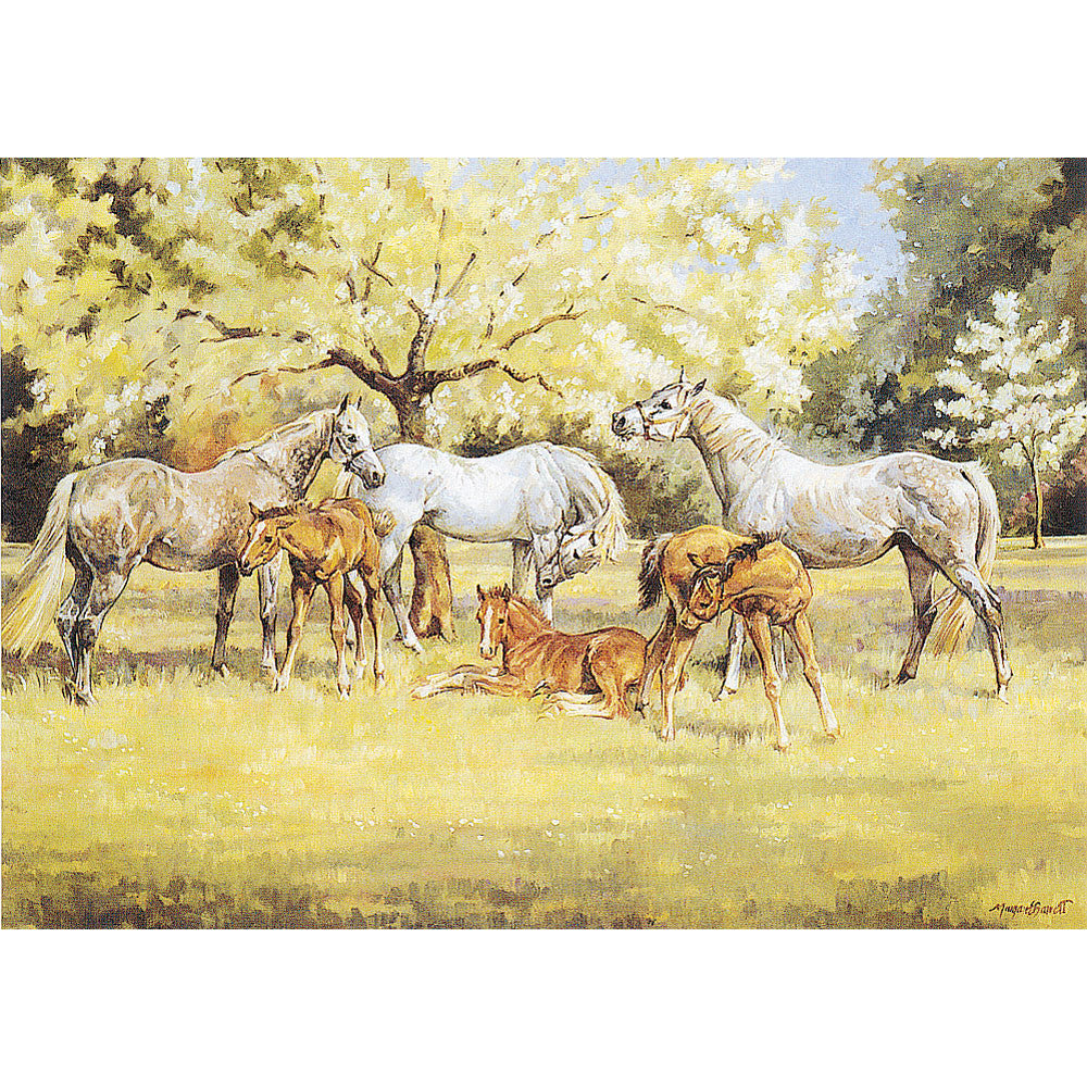 Horses - Spring Time - 6 pack