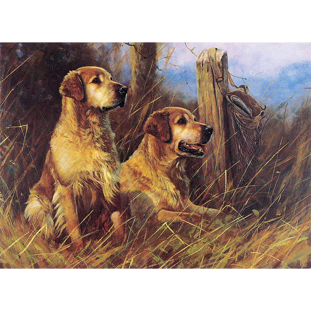 Dogs - Golden Days (Golden Retrievers) - 6 pack