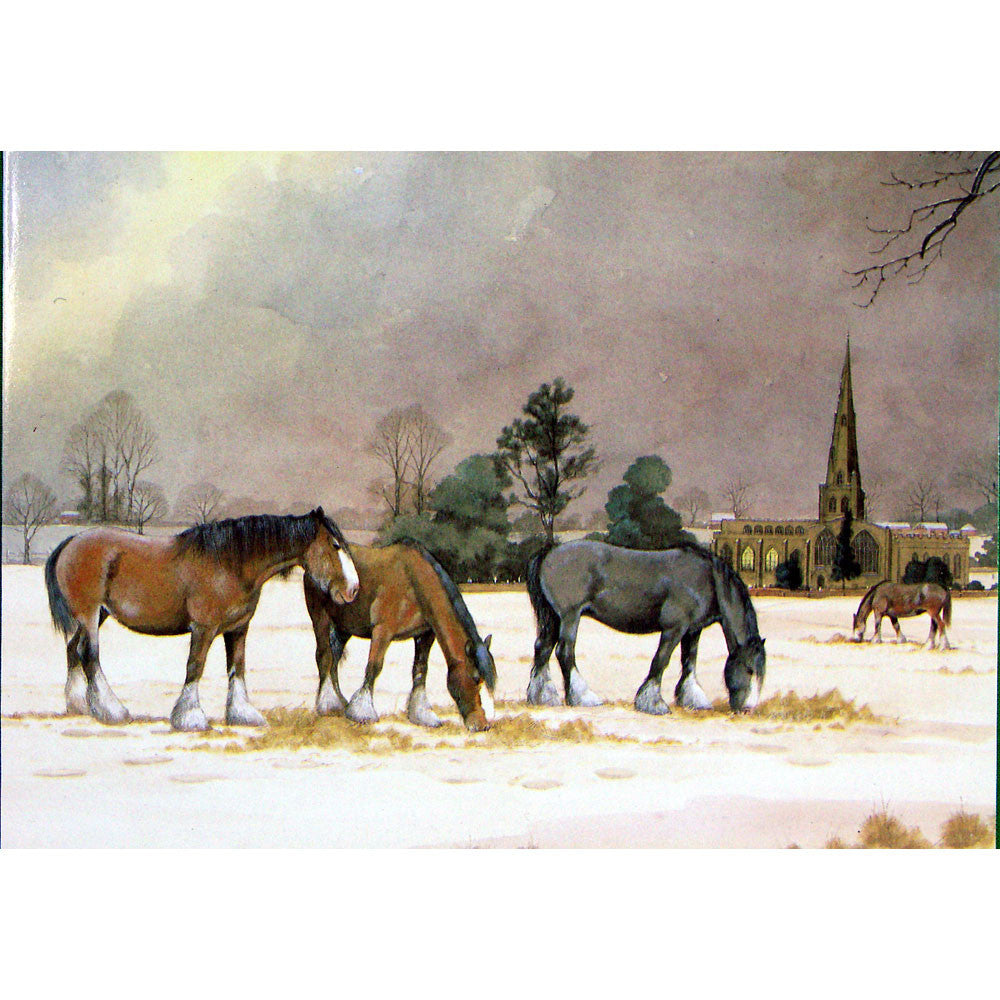 Horses - Ashbourne Church - 6 pack