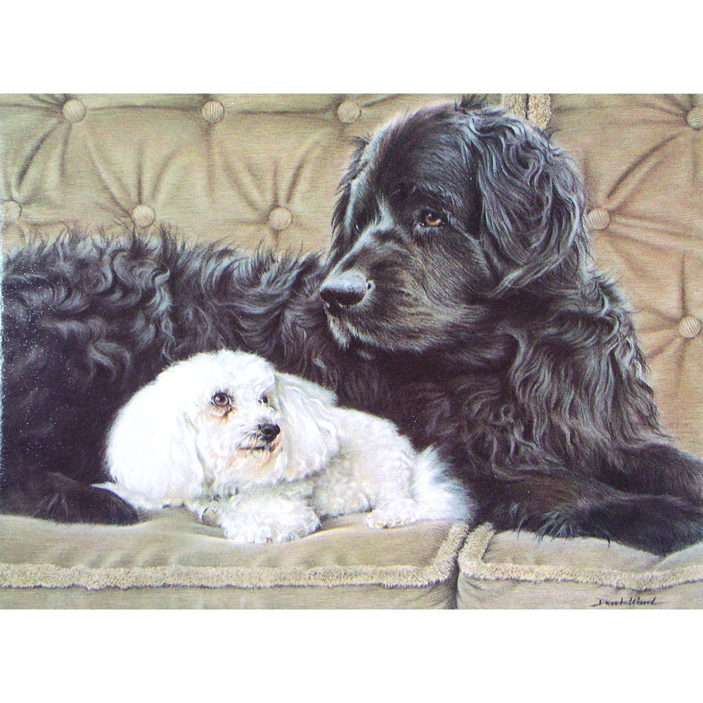 Dogs - The Nanny (Newfoundland and Bichon) - 6 pack