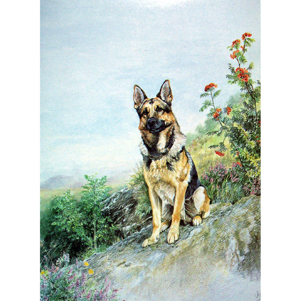 Dogs - On Guard (German Shepherd) - 6 pack