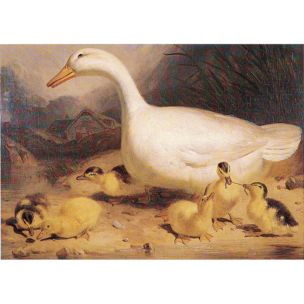 Greeting Cards - Duck and Ducklings - 6 pack