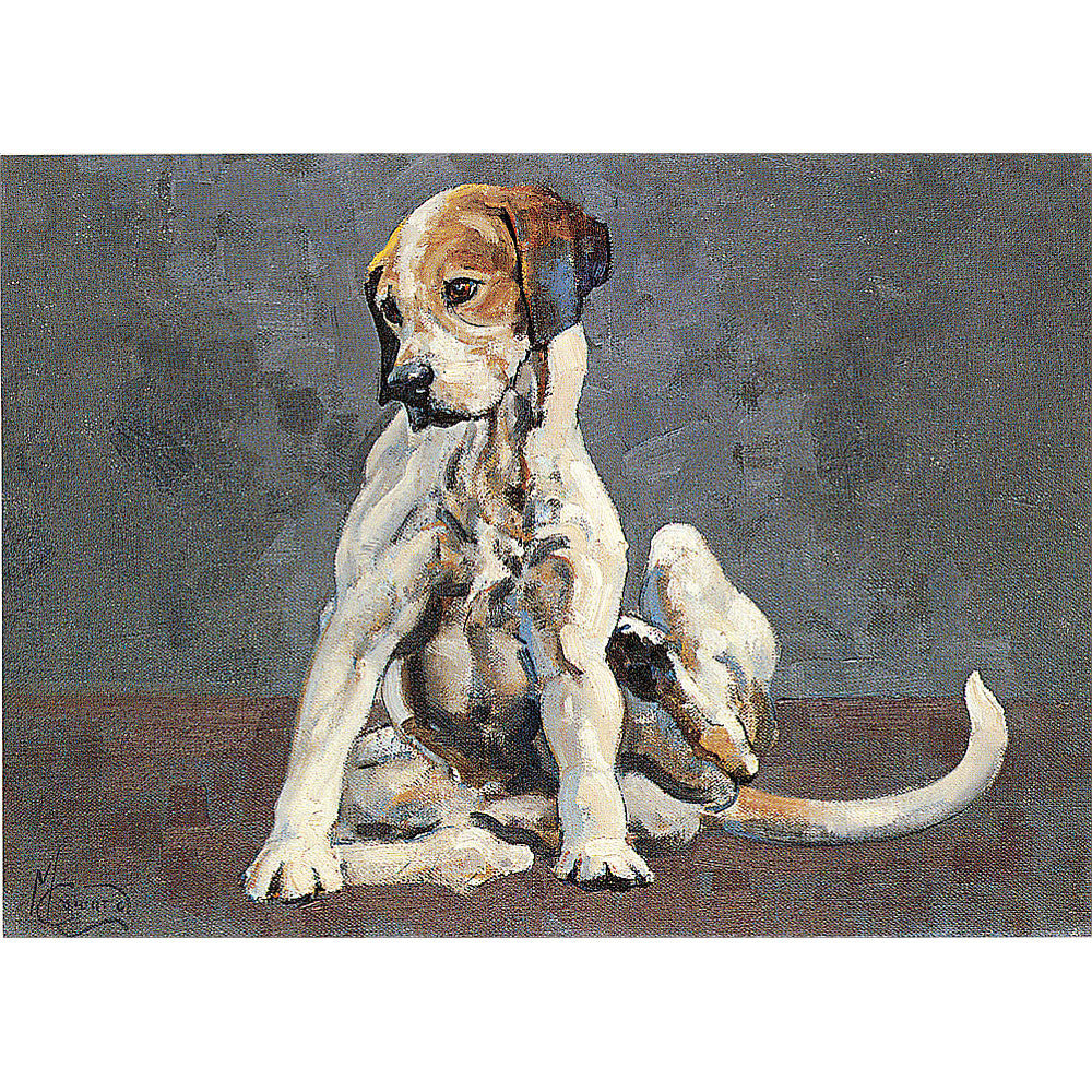 Dogs - Turning Em Over (Foxhound) - 6 pack