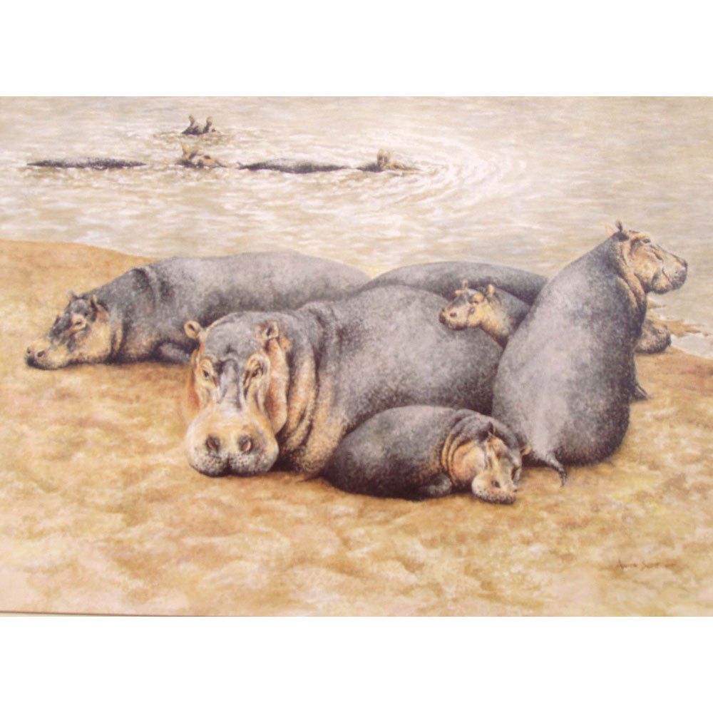 Greeting Cards - Happy Hippos - 6 pack