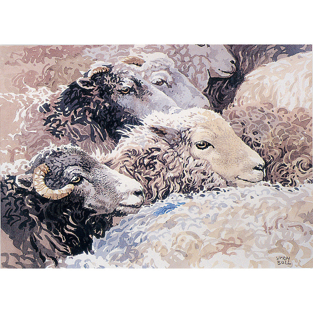 Greeting Cards - Amongst the Flock (Sheep) - 6 pack