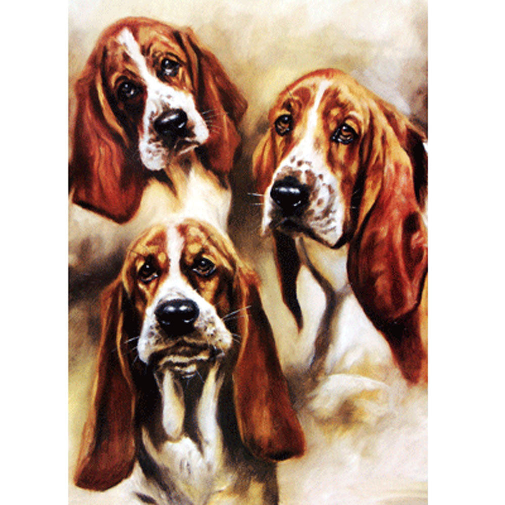 Dogs | Studies of a Basset Basset Hound | 6 pack