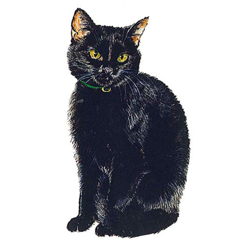 Black Cat Jumbo Magnet