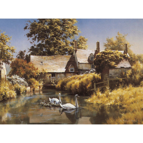 Greeting Cards - Old Water Mill (Swans) - 6 pack
