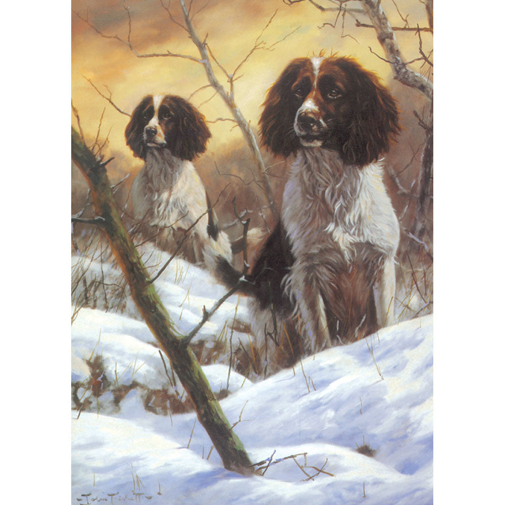 Dogs - Searching (English Springer) - 6 pack
