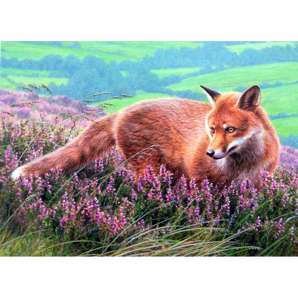 Fox and Fox Hunting - Fox in Heather - 6 pack