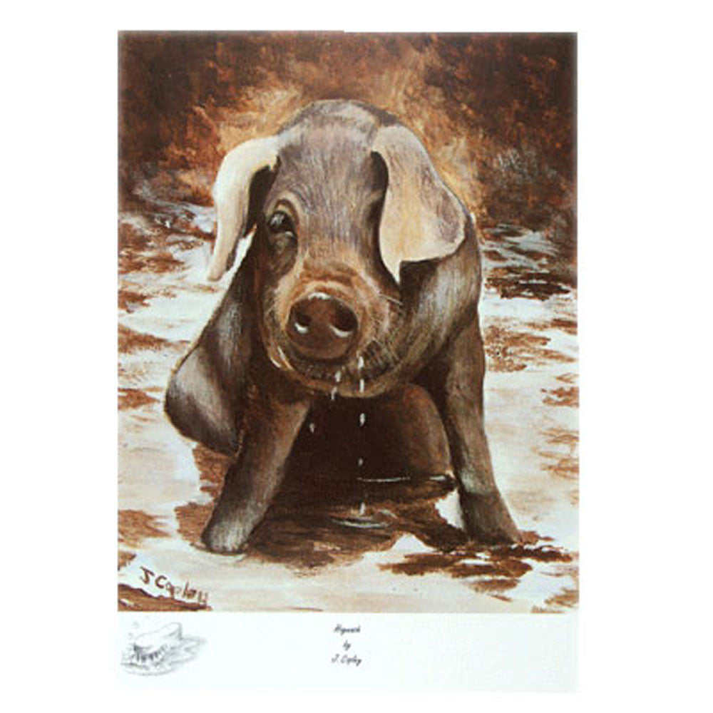 Sally Mitchell Fine Arts Farm Animal Prints | Hogwash Hog