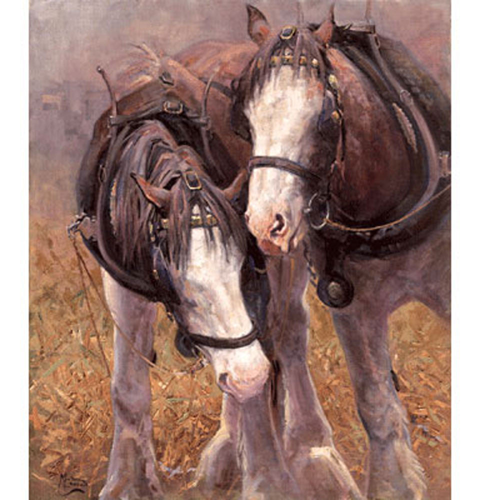 Malcom Coward Horse Prints | The Horse Whisperer (Draft Horse)