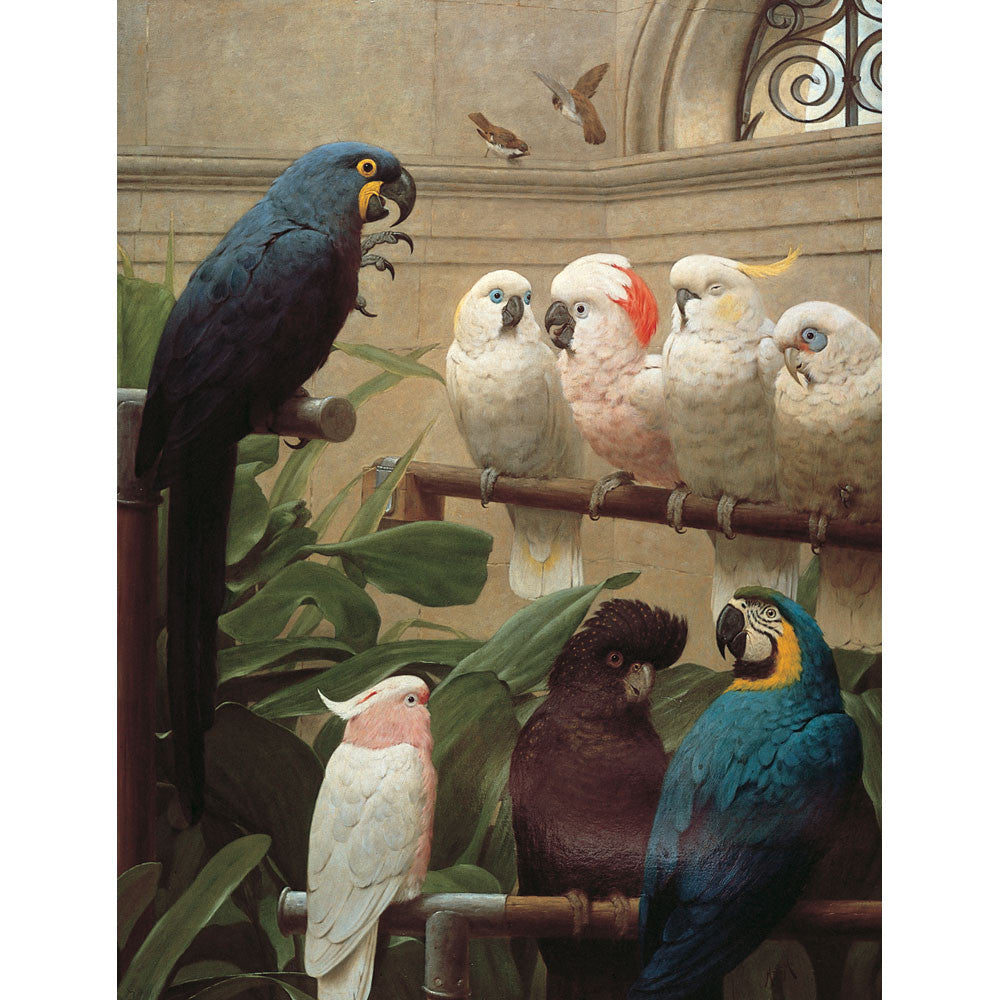 Rosenstiels Fine Art Wildlife Prints - A Select Committee Parrot