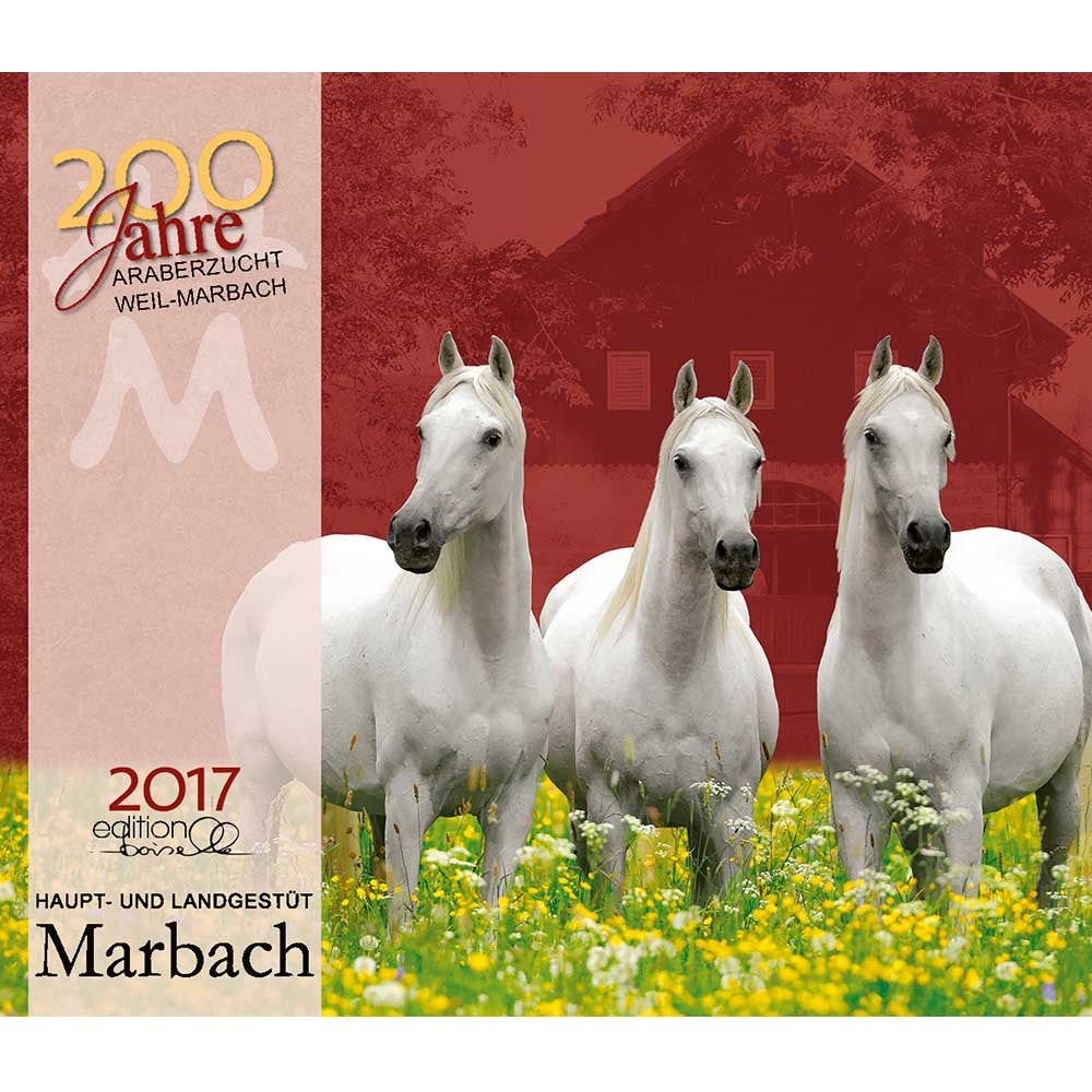 Mid Sized Calendar Boiselle Marbach