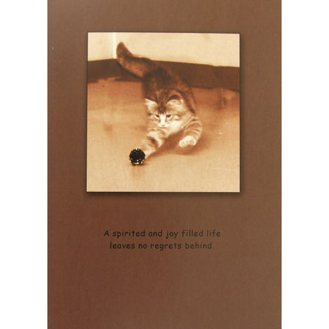 Cat Sympathy Card | Tabby Cat | A Spirited Joy Filled Life