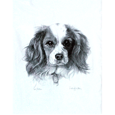 Corinium Fine Art Dog Prints - Cavalier King Charles Spaniel